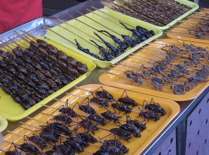 Street Food From Around the Globe (57 pics)
