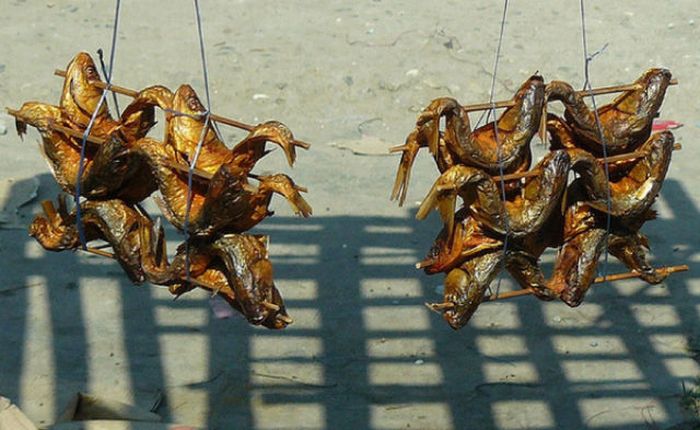 Street Food From Around the Globe (57 pics)