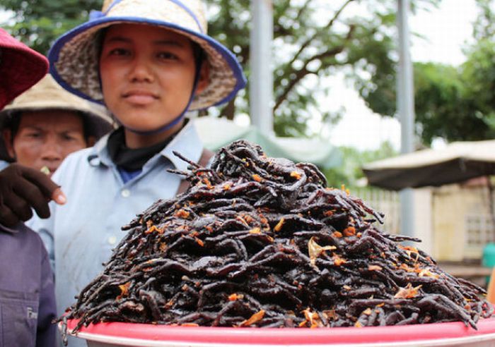 Street Food From Around the Globe (57 pics)