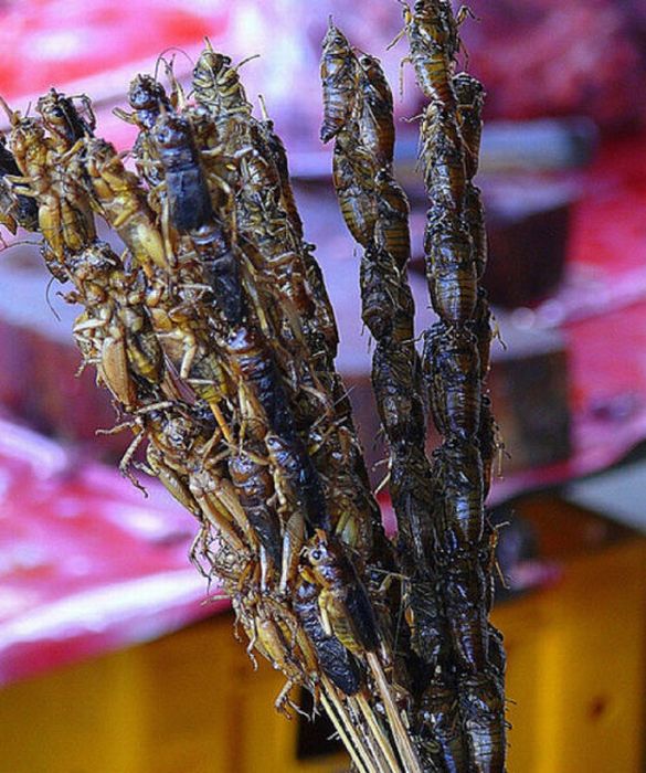 Street Food From Around the Globe (57 pics)