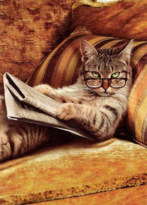 Acid Picdump (108 pics)
