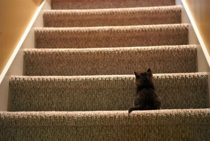 Acid Picdump (108 pics)