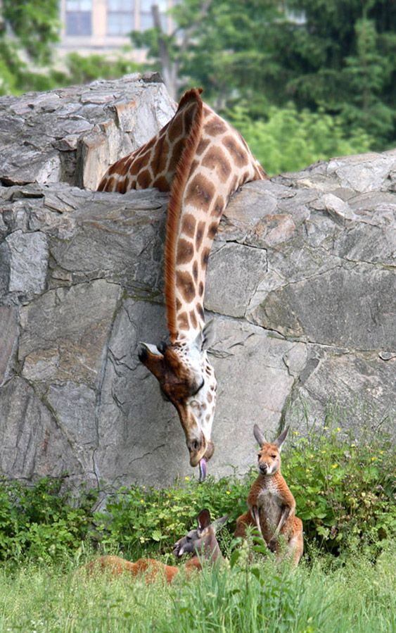 Acid Picdump (108 pics)
