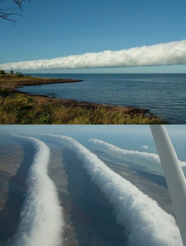 Acid Picdump (108 pics)