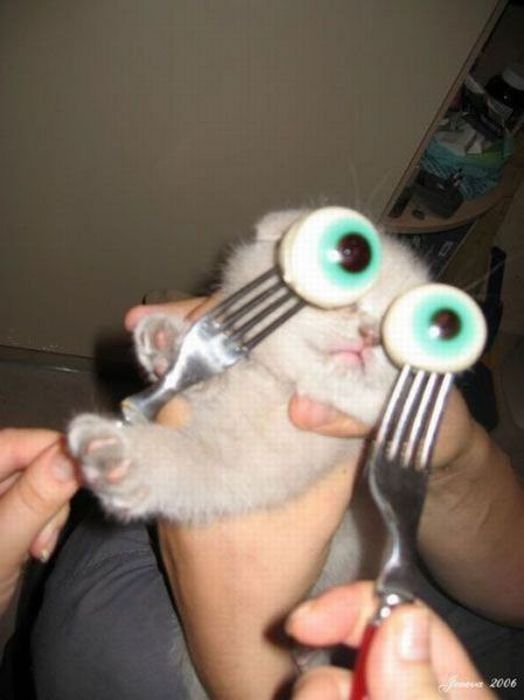 Acid Picdump (108 pics)