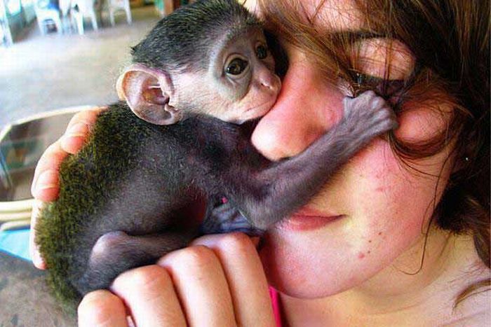 Acid Picdump (108 pics)