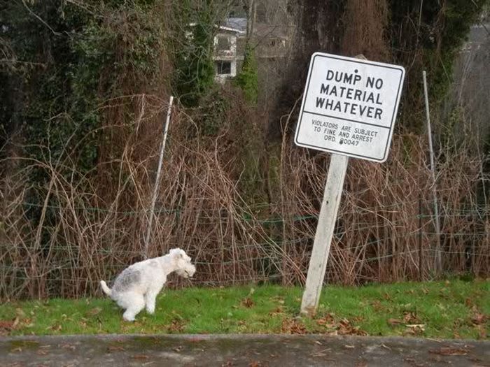 Acid Picdump (108 pics)