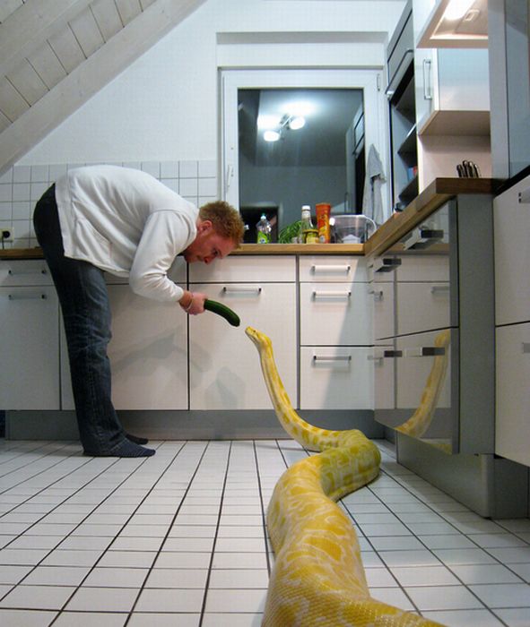 Acid Picdump (108 pics)