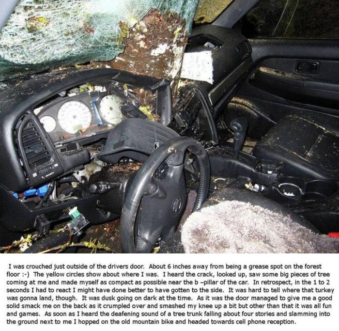 Be Careful When You Go Camping in the Woods (5 pics)