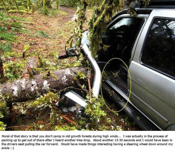 Be Careful When You Go Camping in the Woods (5 pics)