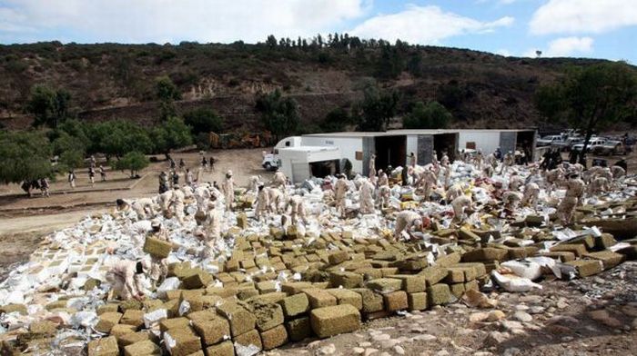 Mexico Burns 134 Tons of Confiscated Marijuana (13 pics)