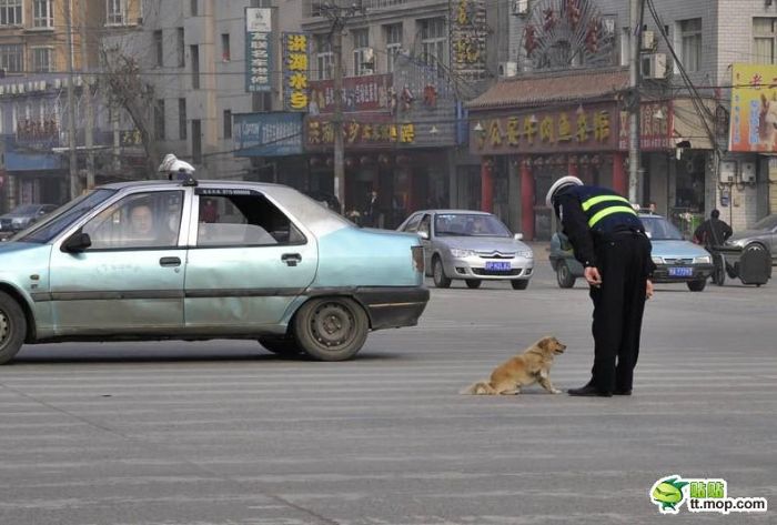 Policeman and Dog (6 pics)