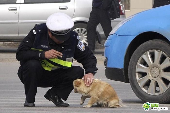 Policeman and Dog (6 pics)