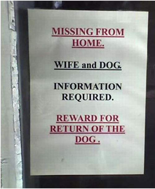 Funniest Lost & Found Pet Signs (12 pics)
