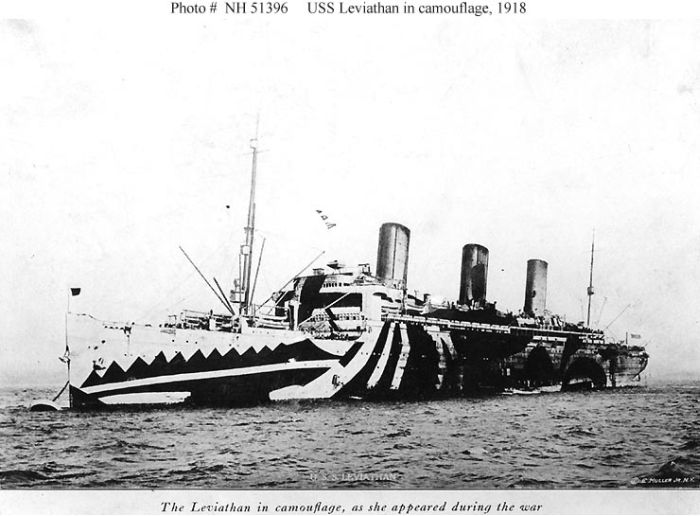 Ships Camouflage from WW1 (16 pics)