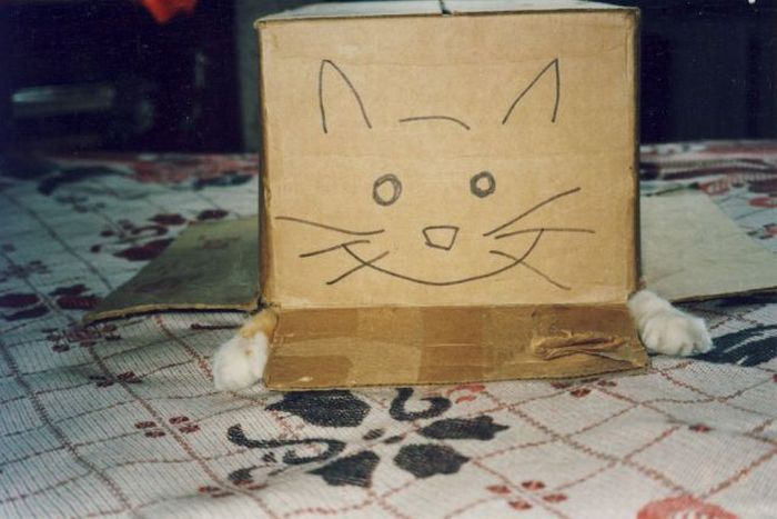Acid Picdump (99 pics)