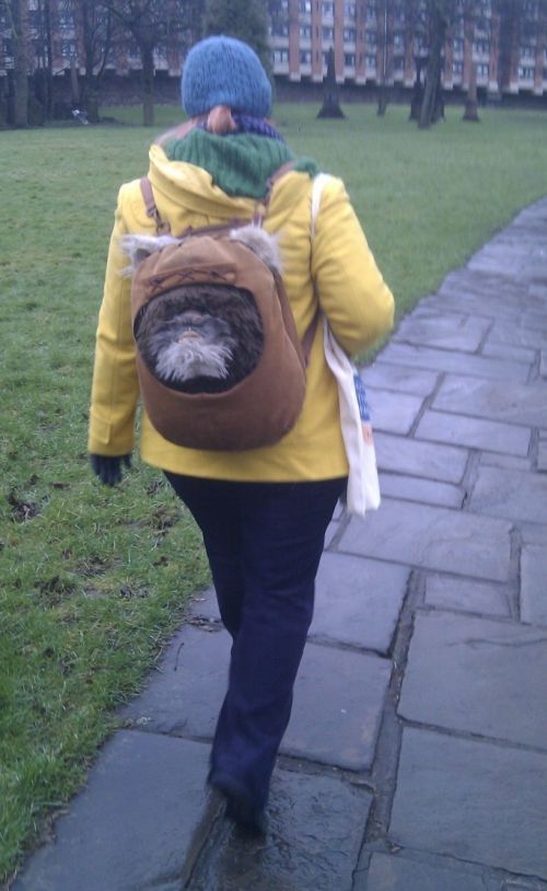 Acid Picdump (99 pics)