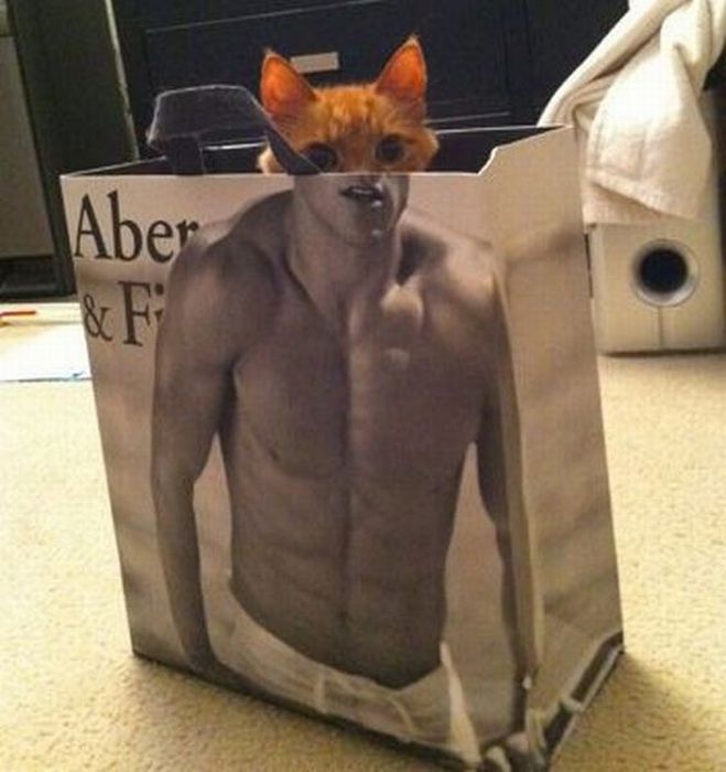 Acid Picdump (99 pics)