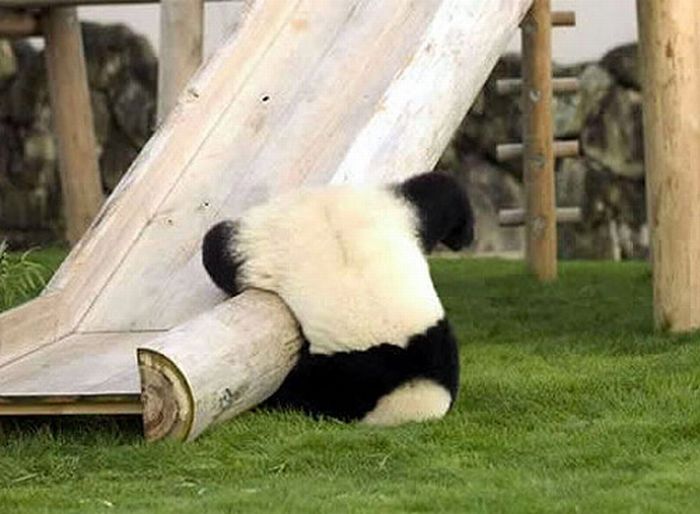Acid Picdump (99 pics)