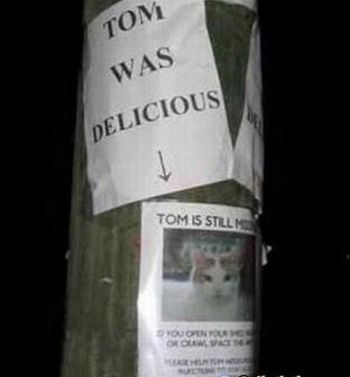The Funniest Street Fliers (32 pics)