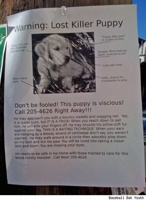 The Funniest Street Fliers (32 pics)