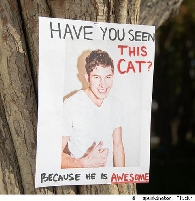 The Funniest Street Fliers (32 pics)