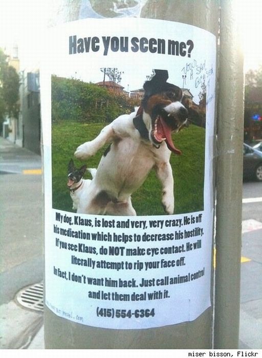The Funniest Street Fliers (32 pics)
