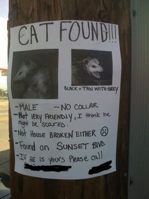 The Funniest Street Fliers (32 pics)