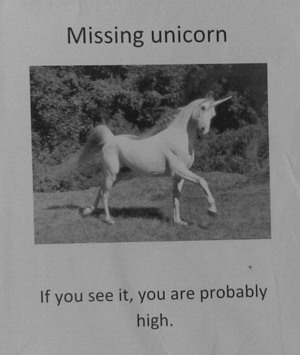 The Funniest Street Fliers (32 pics)