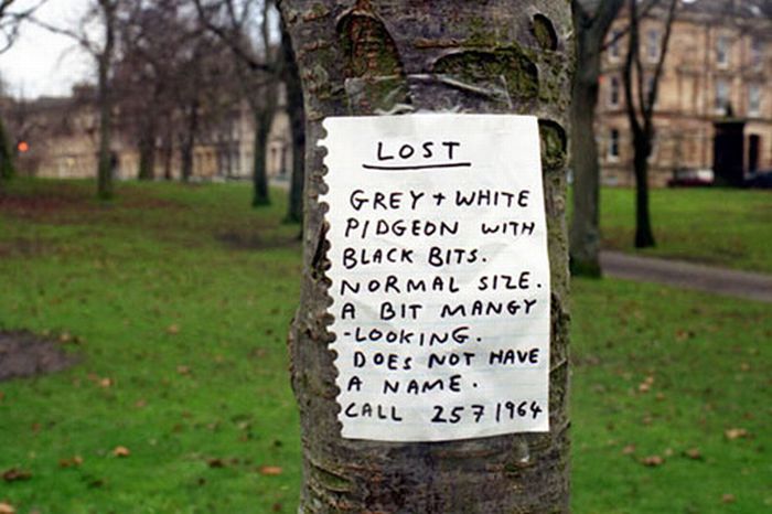 The Funniest Street Fliers (32 pics)