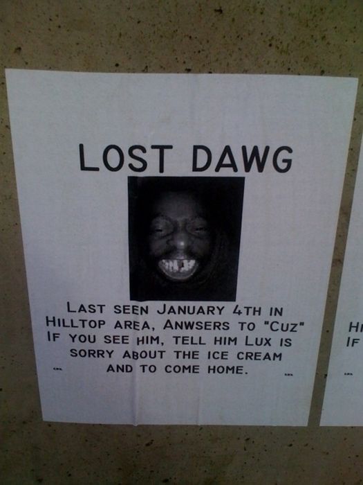 The Funniest Street Fliers (32 pics)