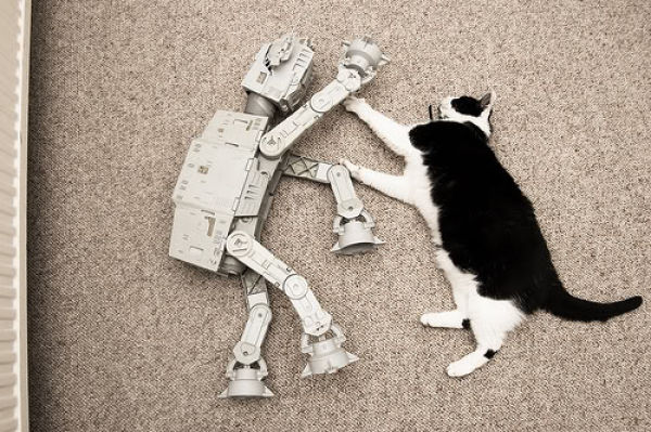 Star Wars Cats (28 pics)
