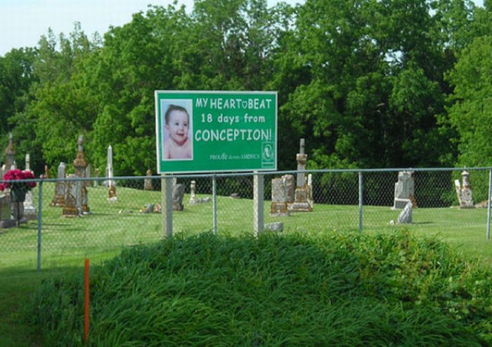 Anti-Abortion Signs (26 pics)