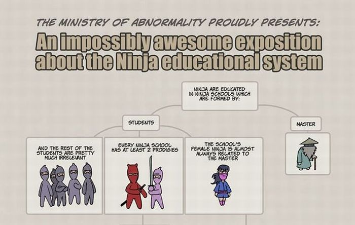 Ninja Educational System (1 pic)