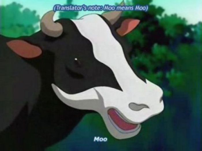 Priceless Anime Subtitle Foolery (27 pics)