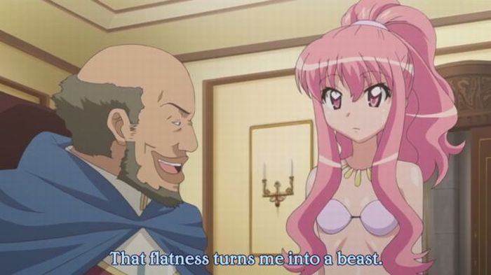 Priceless Anime Subtitle Foolery (27 pics)