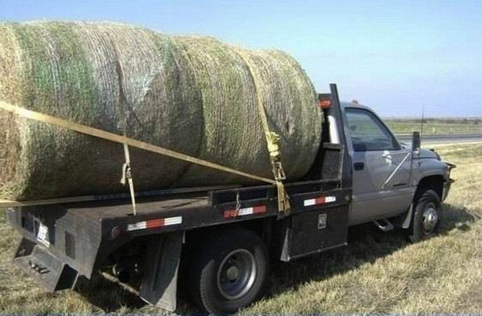 What's Inside This Haystack? (4 pics)