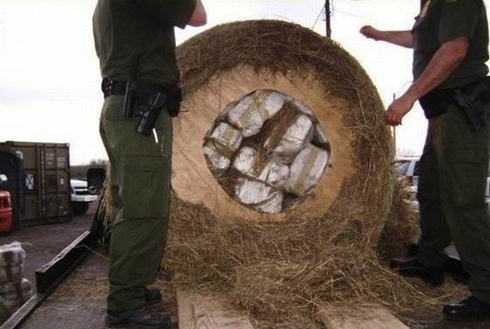 What's Inside This Haystack? (4 pics)