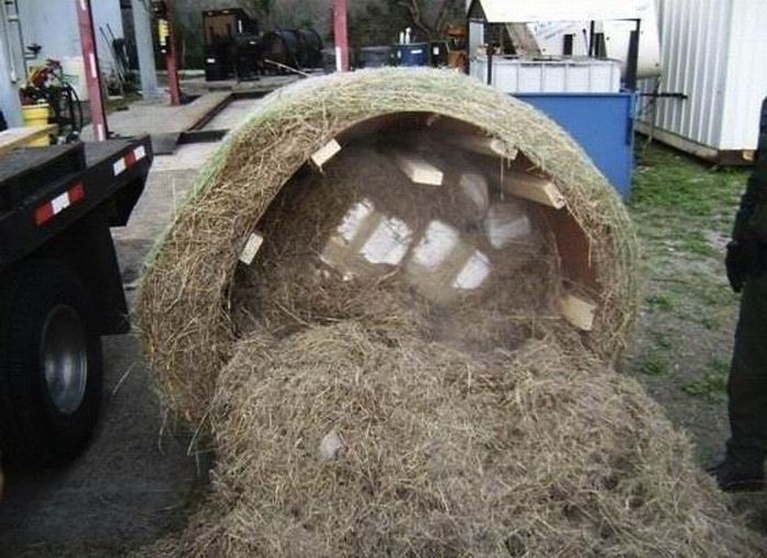 What's Inside This Haystack? (4 pics)