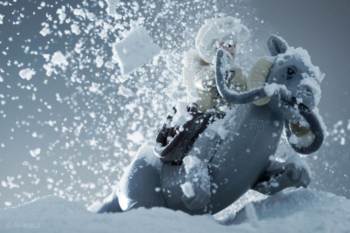 Star Wars. Winter Edition (45 pics)