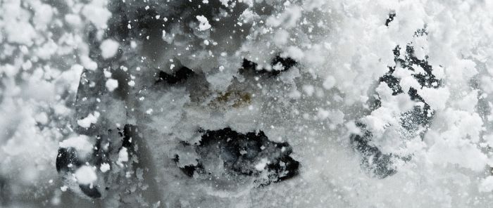 Star Wars. Winter Edition (45 pics)