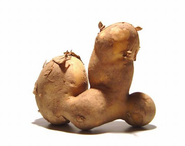 Mutant Vegetables (31 pics)