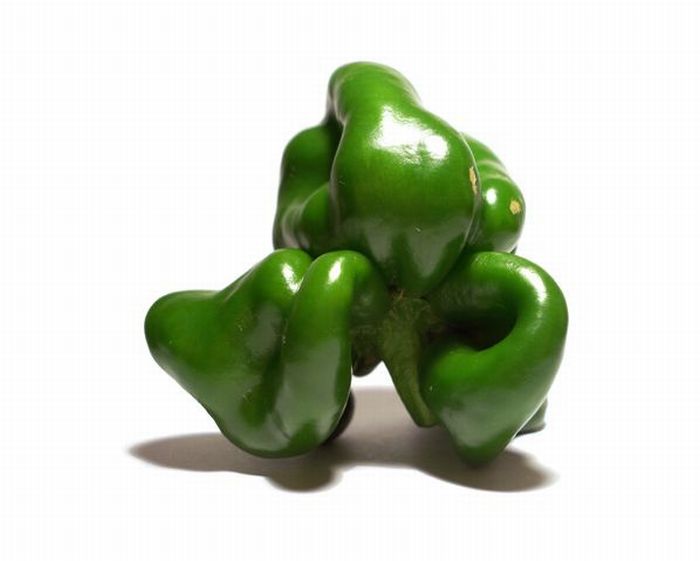 Mutant Vegetables (31 pics)