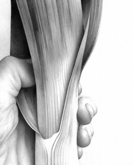 Very Realistic Black and White Drawings (96 pics)
