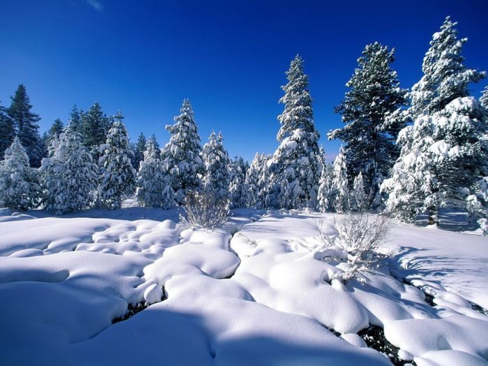 Amazing Winter Photography (65 pics)