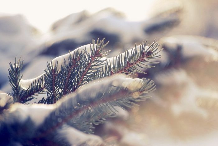 Amazing Winter Photography (65 pics)