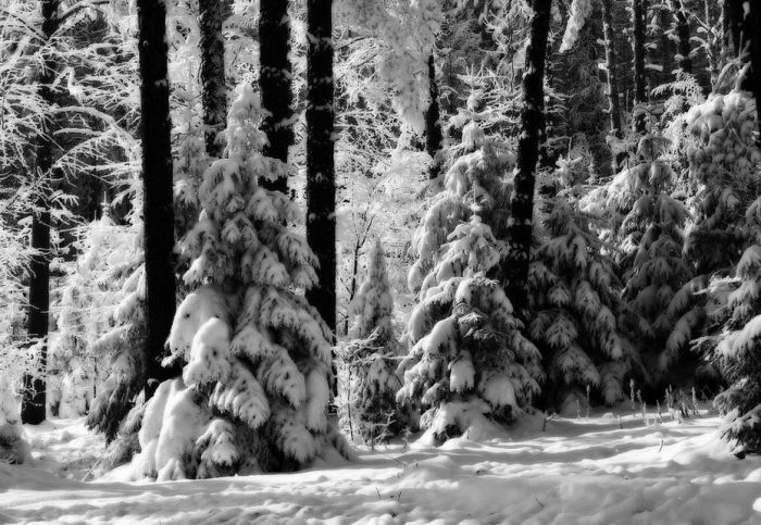 Amazing Winter Photography (65 pics)