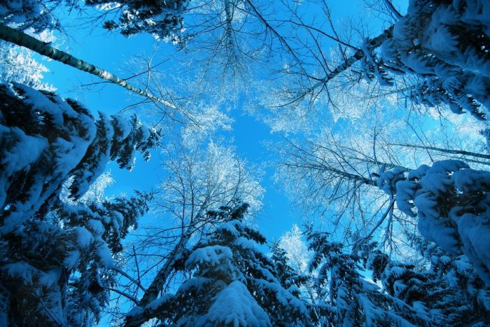 Amazing Winter Photography (65 pics)