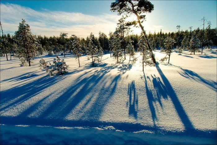 Amazing Winter Photography (65 pics)