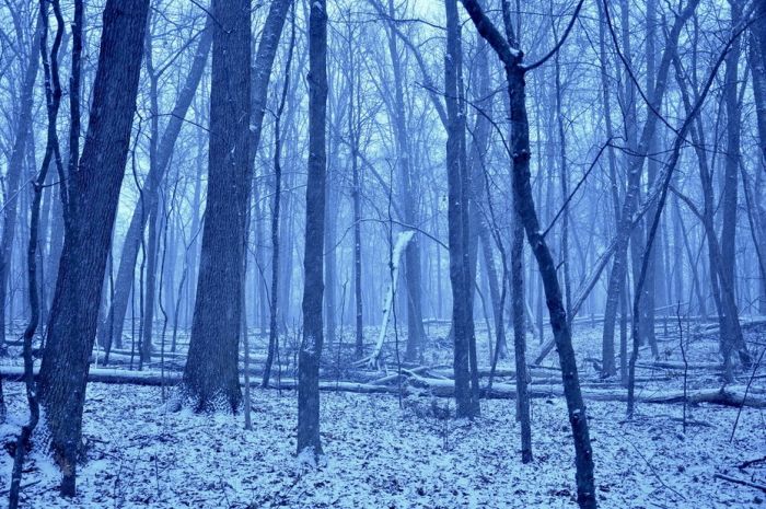 Amazing Winter Photography (65 pics)